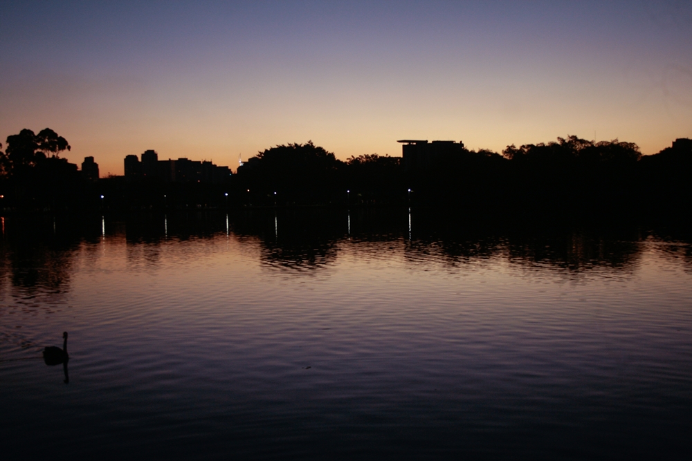 Parque ibirapuera