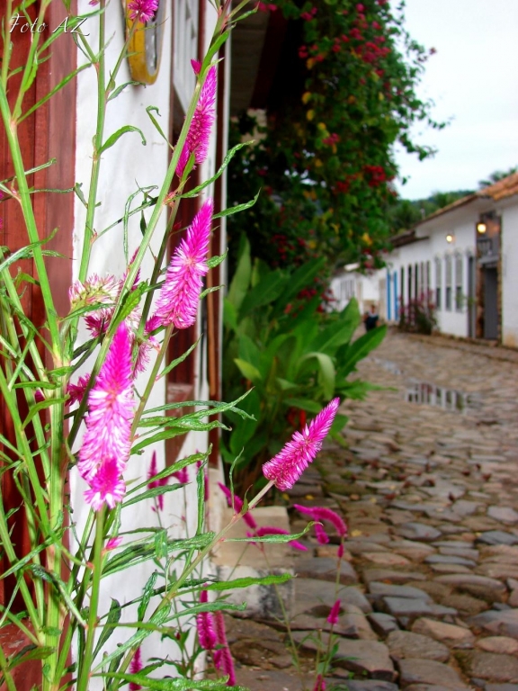 Detalhes...Paraty
