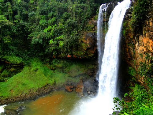 Espetaculos da Terra