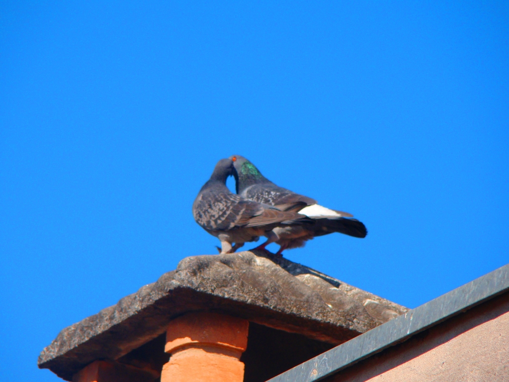 Sob o azul do c&eacute;u