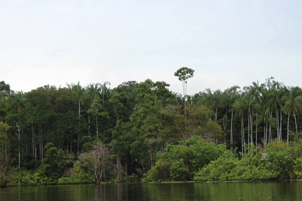 Amaz&ocirc;nia - Brasil