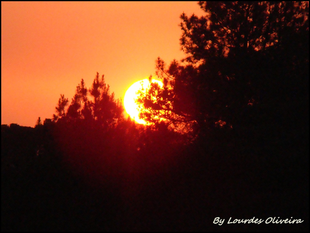 Final de tarde
